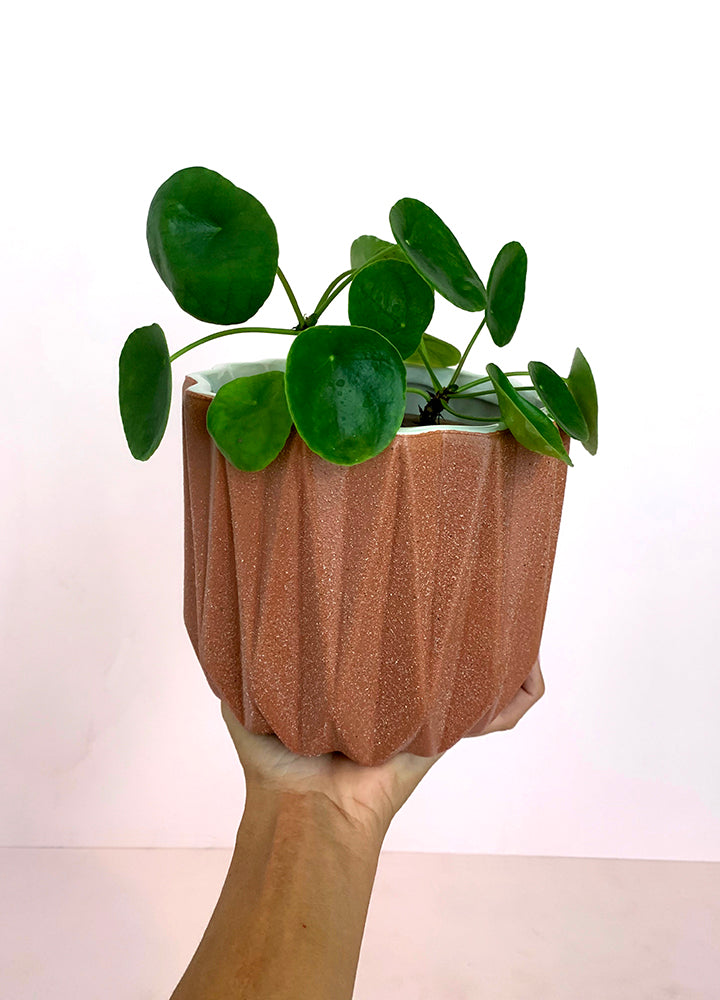 Potes de Cerámica Diseño Geométrico