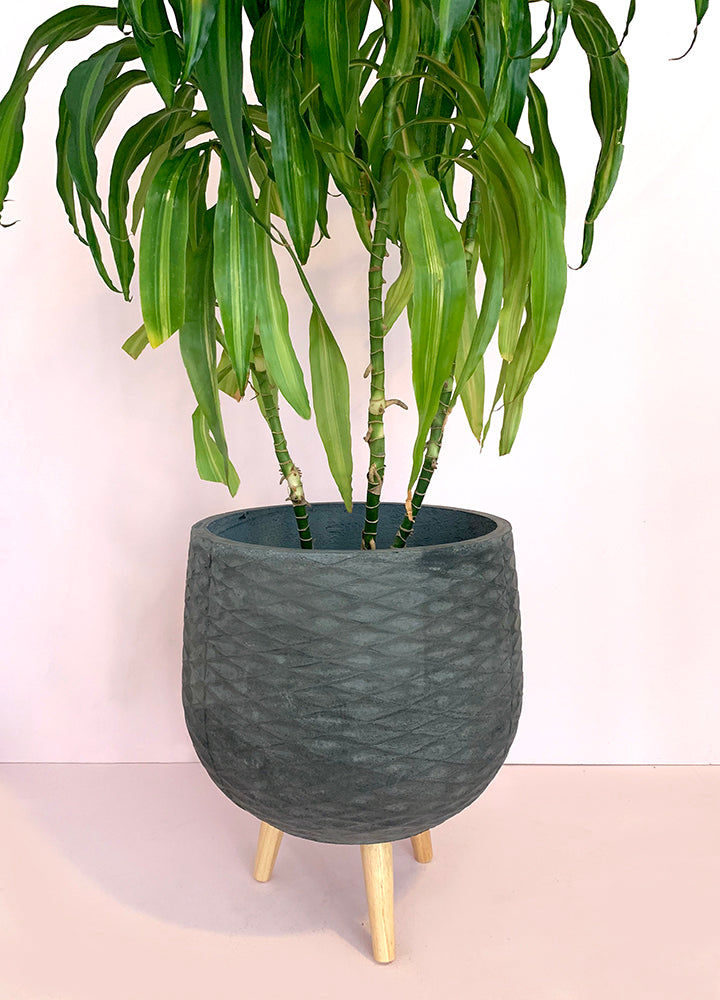 Pote de Cemento Gris con Patas de Madera