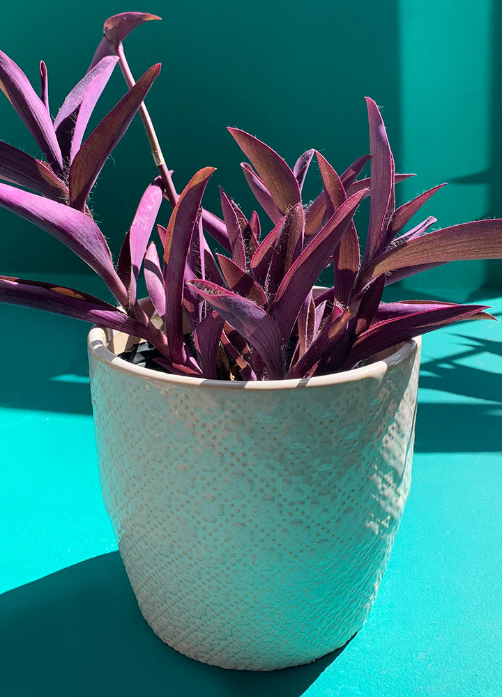 Potes de Cerámica Diseño Flores